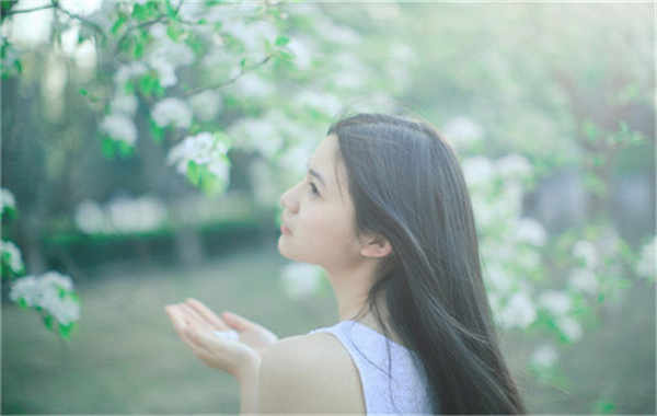 沿河验血查男女几周可以验(验血查男女结果图)